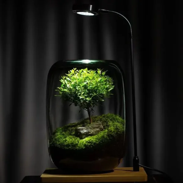 Moss Micro Landscape in the Tree of Life - Image 5