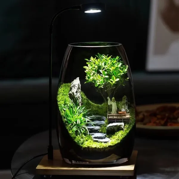 Moss Micro Landscape in Haiyun - Image 5