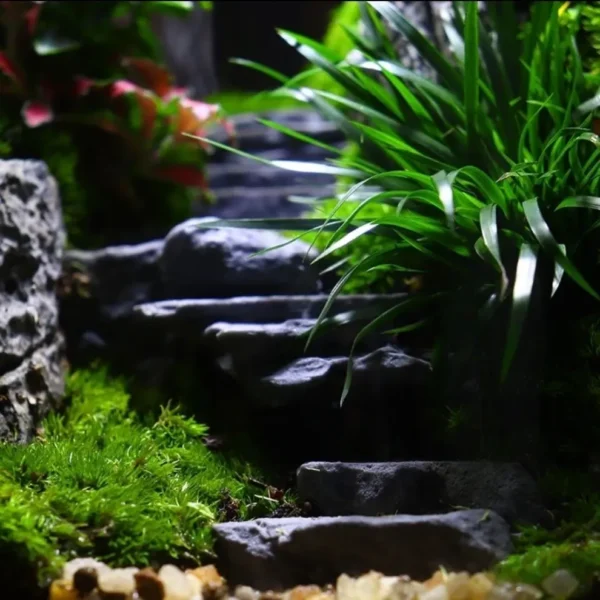 Moss Micro Landscape in Green Mountains and Waters - Image 5