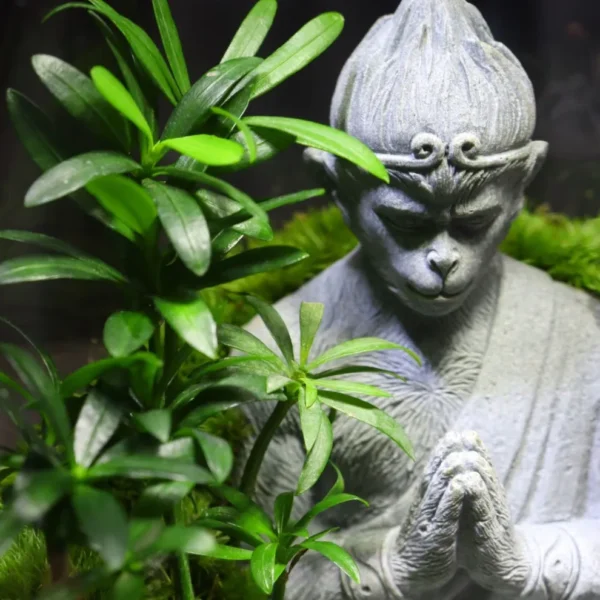 【 Wukong 】 Moss Micro Landscape - Image 5