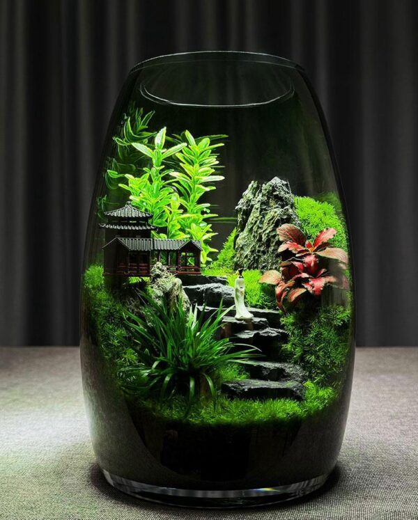 [Shanhaijian] Desktop Ecological Bottle Moss Micro Landscape New Chinese Landscape Creative Green Plant Bonsai High end Ornament
