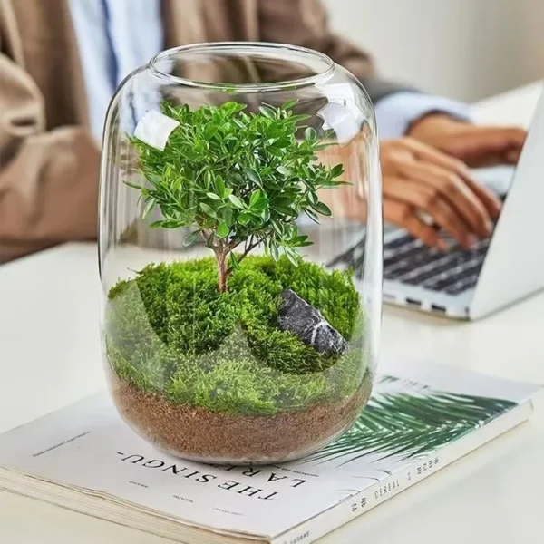Moss Micro Landscape in the Tree of Life - Image 2