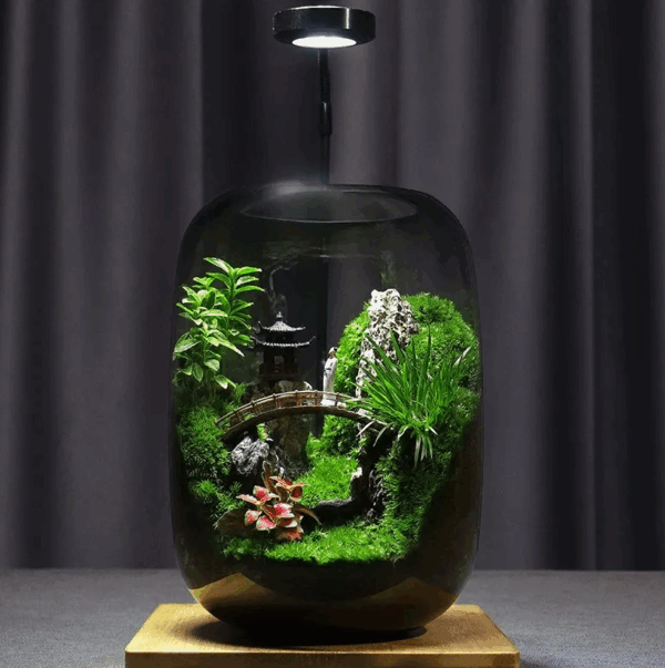 【 Exhibition Hall 】 Moss Microecological Landscape - Image 3