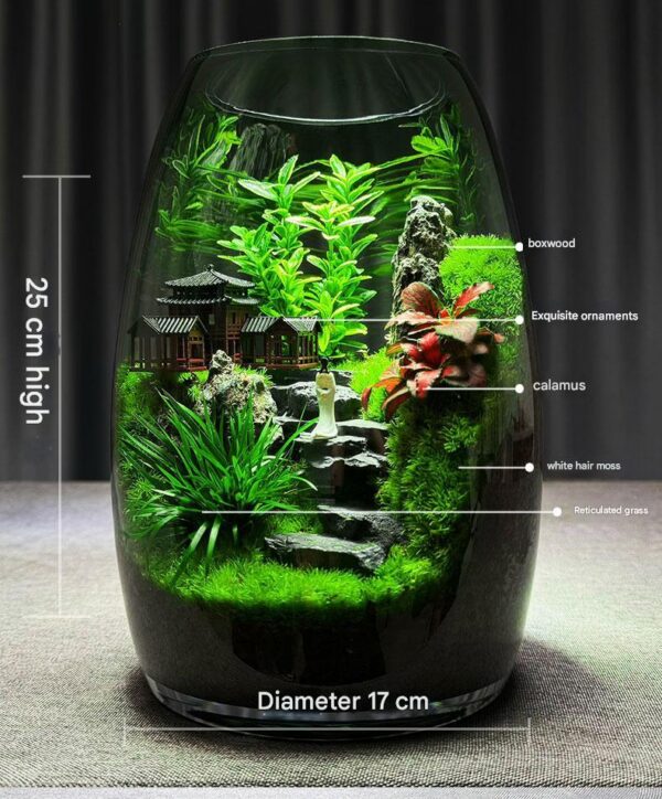 [Shanhaijian] Desktop Ecological Bottle Moss Micro Landscape New Chinese Landscape Creative Green Plant Bonsai High end Ornament - Image 2