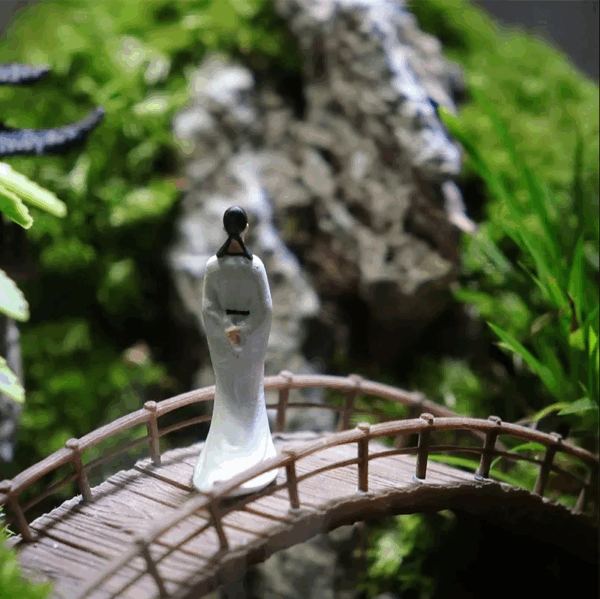 【 Exhibition Hall 】 Moss Microecological Landscape - Image 5