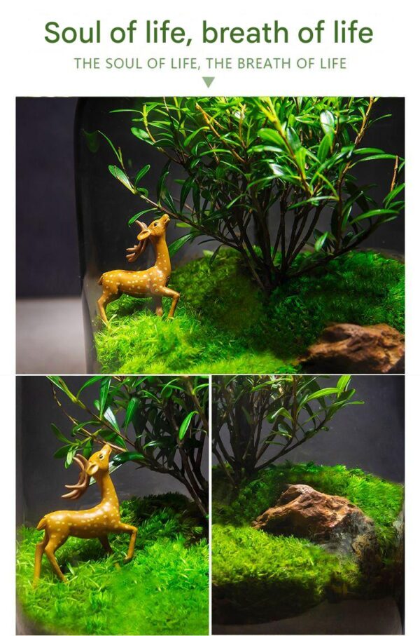 【 Tree of Life 】 Moss Micro Landscape Ecological Bottle Surface Finished Green Plant Pottery Creative Table Bonsai Good for Nourishing and Living - Image 6