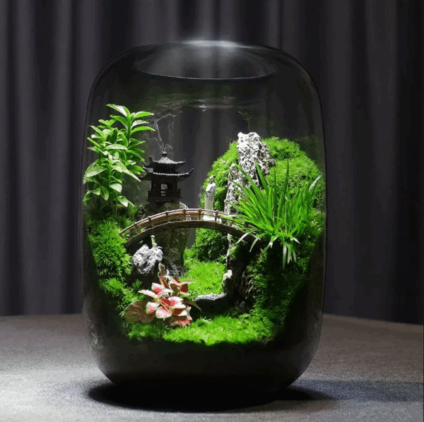 【 Exhibition Hall 】 Moss Microecological Landscape - Image 4