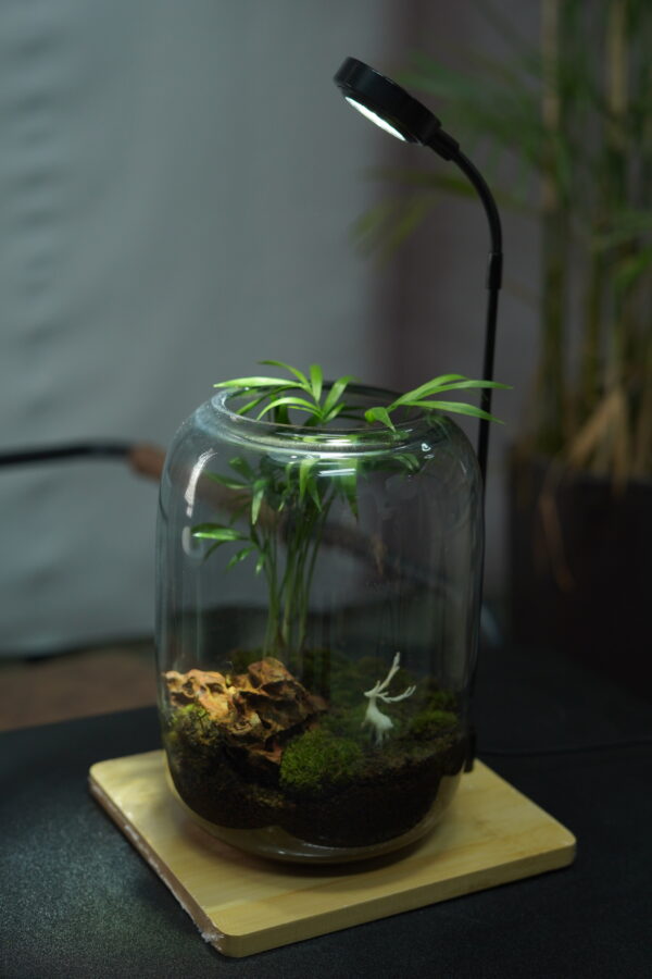 Micro landscape handmade DIY stress relieving crafts, suitable for offices, homes, desktops, green plants, and gift giving - Image 3