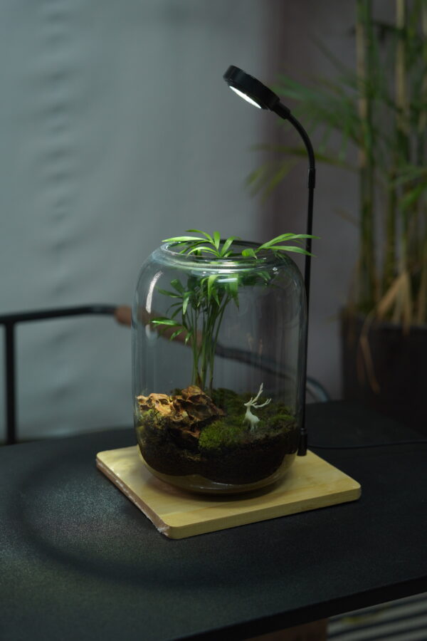 Micro landscape handmade DIY stress relieving crafts, suitable for offices, homes, desktops, green plants, and gift giving - Image 4