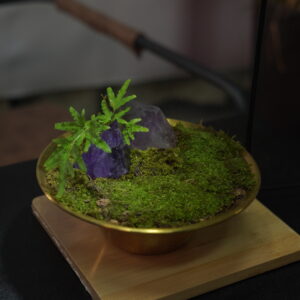 Micro landscape handmade DIY stress relieving crafts, suitable for offices, homes, desktops, green plants, and gift giving