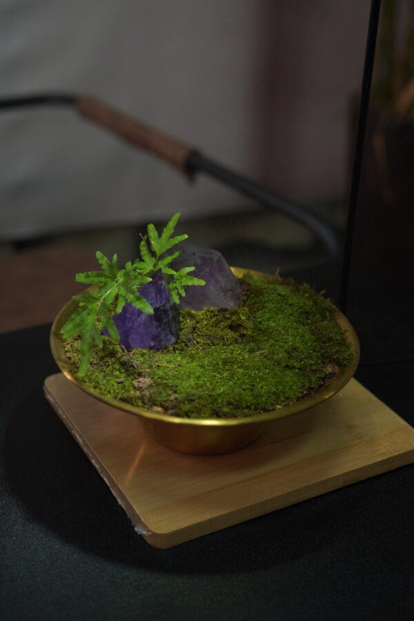 Micro landscape handmade DIY stress relieving crafts, suitable for offices, homes, desktops, green plants, and gift giving