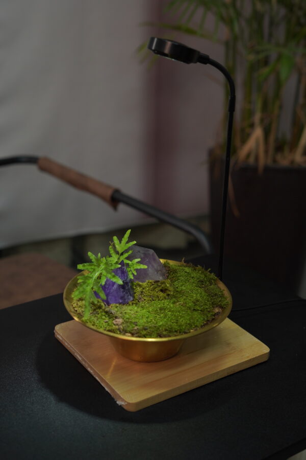 Micro landscape handmade DIY stress relieving crafts, suitable for offices, homes, desktops, green plants, and gift giving - Image 7