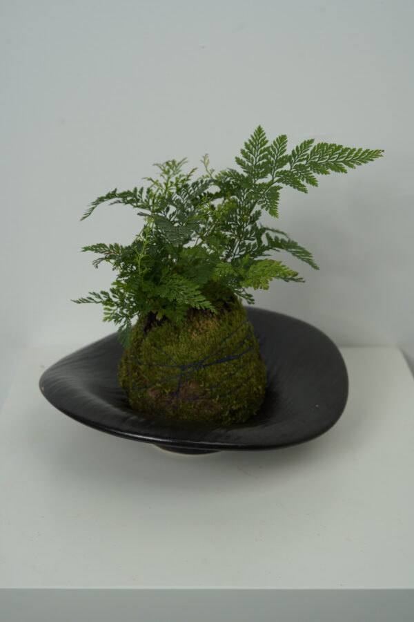 Micro landscape handmade DIY stress relieving crafts, suitable for offices, homes, desktops, green plants, and gift giving - Image 3
