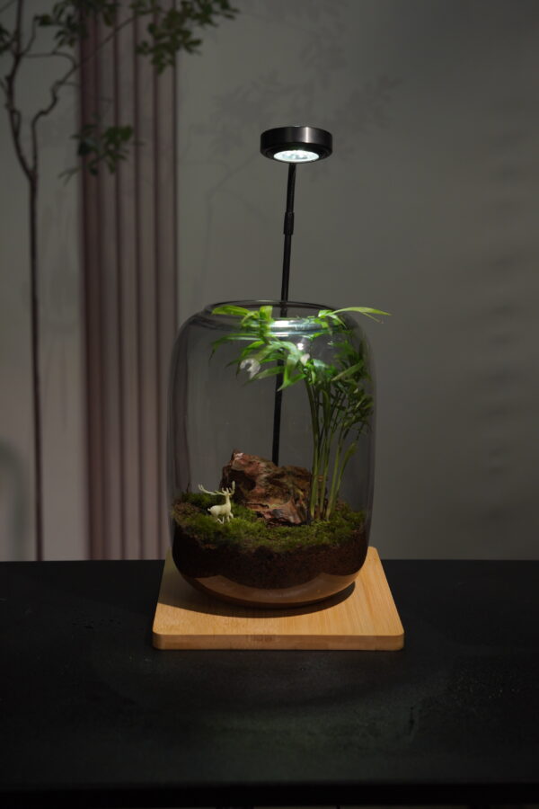 Micro landscape handmade DIY stress relieving crafts, suitable for offices, homes, desktops, green plants, and gift giving - Image 6