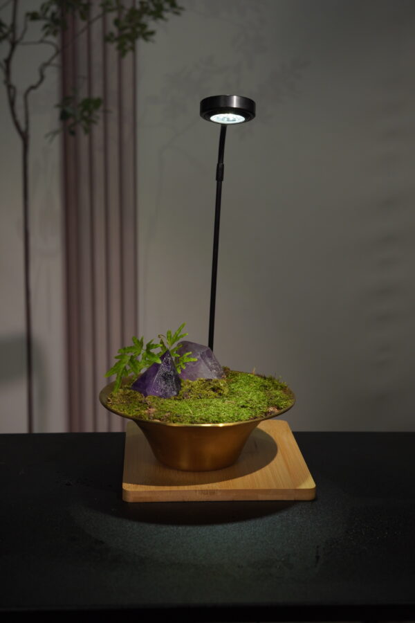 Micro landscape handmade DIY stress relieving crafts, suitable for offices, homes, desktops, green plants, and gift giving - Image 2