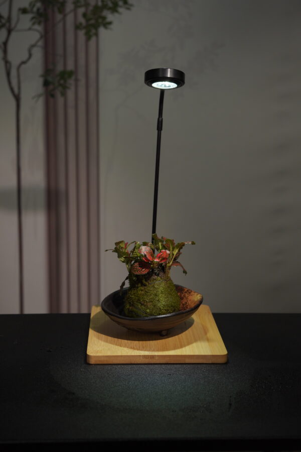 Micro landscape handmade DIY stress relieving crafts, suitable for offices, homes, desktops, green plants, and gift giving - Image 2