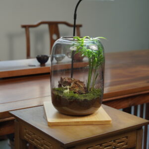 Micro landscape handmade DIY stress relieving crafts, suitable for offices, homes, desktops, green plants, and gift giving