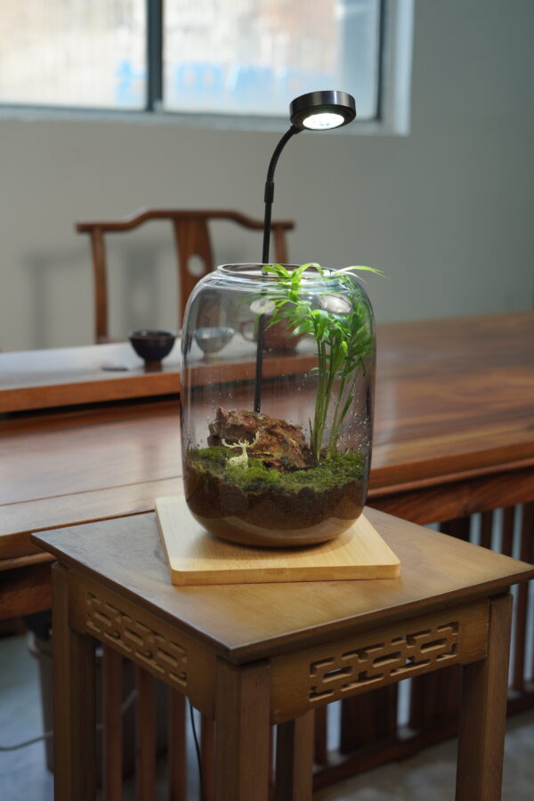 Micro landscape handmade DIY stress relieving crafts, suitable for offices, homes, desktops, green plants, and gift giving