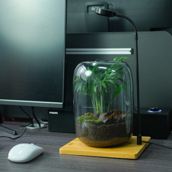 Micro landscape handmade DIY stress relieving crafts, suitable for offices, homes, desktops, green plants, and gift giving - Image 2