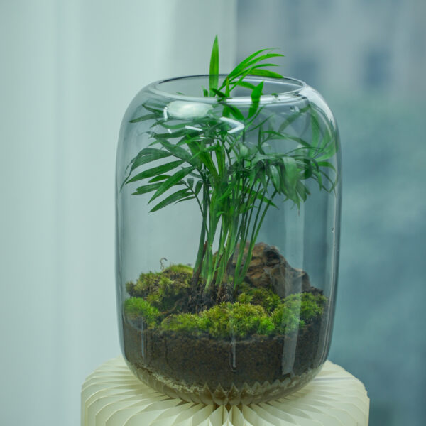 Micro landscape handmade DIY stress relieving crafts, suitable for offices, homes, desktops, green plants, and gift giving - Image 7