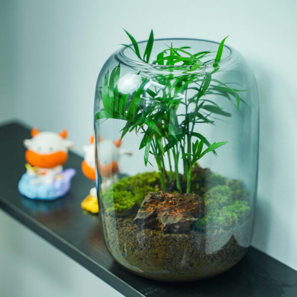 Micro landscape handmade DIY stress relieving crafts, suitable for offices, homes, desktops, green plants, and gift giving
