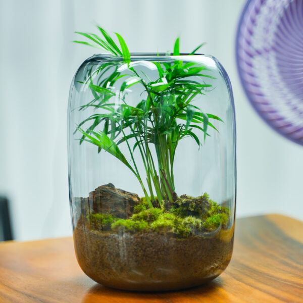 Micro landscape handmade DIY stress relieving crafts, suitable for offices, homes, desktops, green plants, and gift giving - Image 9
