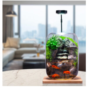 Shishang Qingquan E-style Moss Micro Landscape Office Desktop Micro Landscape High end Ecological Tank Decoration Green Plant Bonsai