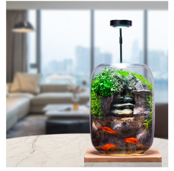 Shishang Qingquan E-style Moss Micro Landscape Office Desktop Micro Landscape High end Ecological Tank Decoration Green Plant Bonsai
