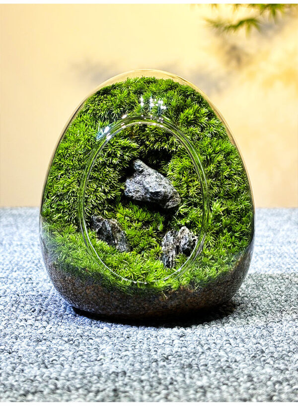 Moss Micro Landscape DIY Material Landscape Plants Fresh Ecological Bottles Ecological Jars Desktop Small Pottery Products Easy to Maintain - Image 2