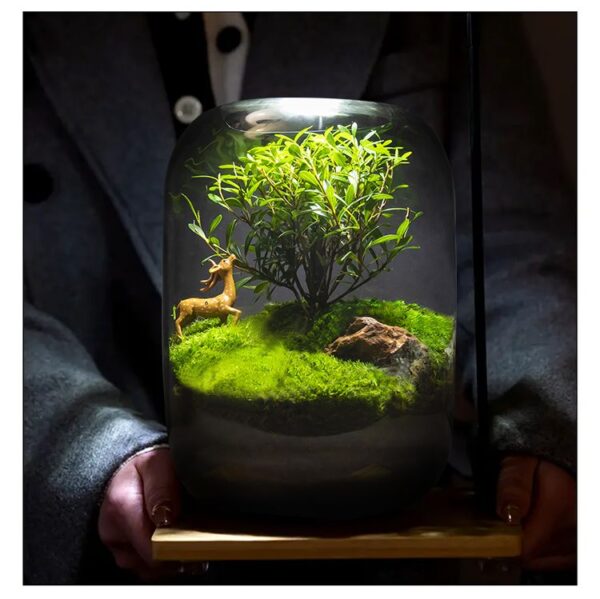 【 Tree of Life 】 Moss Micro Landscape Ecological Bottle Surface Finished Green Plant Pottery Creative Table Bonsai Good for Nourishing and Living - Image 2