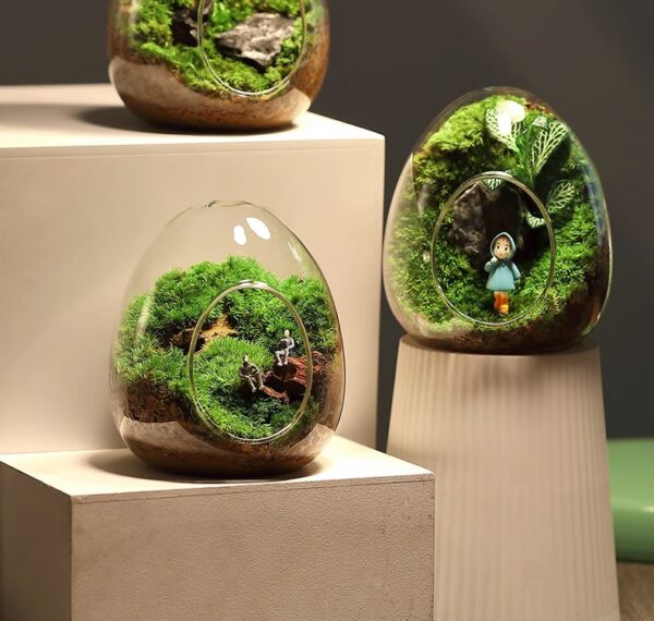 Eggshell Moss Micro Landscape Creative Finished Decoration Pottery Office Desk Good for Cultivating Green Plants Ecological Bottles Small Bonsai - Image 3