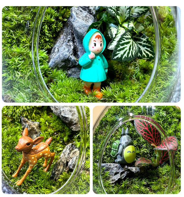 Moss Micro Landscape DIY Material Landscape Plants Fresh Ecological Bottles Ecological Jars Desktop Small Pottery Products Easy to Maintain - Image 7