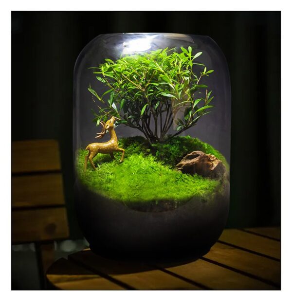 【 Tree of Life 】 Moss Micro Landscape Ecological Bottle Surface Finished Green Plant Pottery Creative Table Bonsai Good for Nourishing and Living - Image 4