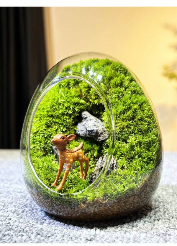 Moss Micro Landscape DIY Material Landscape Plants Fresh Ecological Bottles Ecological Jars Desktop Small Pottery Products Easy to Maintain - Image 3