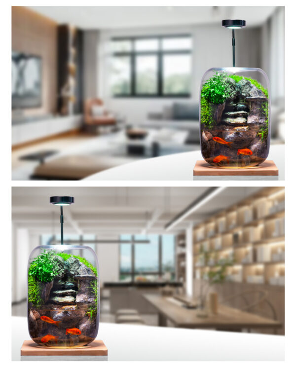 Shishang Qingquan E-style Moss Micro Landscape Office Desktop Micro Landscape High end Ecological Tank Decoration Green Plant Bonsai - Image 5