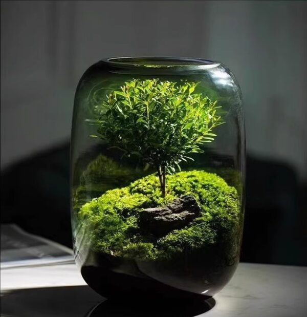 Gift for Girls and Boys Micro Landscape Ecological Bottle Moss Creative Desktop Finished Bonsai Good for Nourishing Fresh Green Plants Potted Plants - Image 3