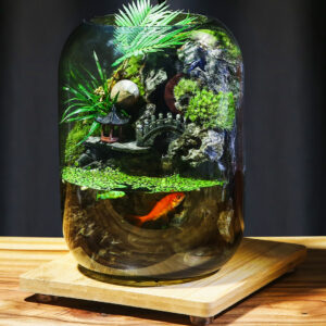 【 Time Comes to Run 】 Flowing Real Plant Fish Tank Moss Micro Landscape Ecological Bottle Finished Indoor Gift