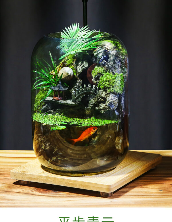 【 Time Comes to Run 】 Flowing Real Plant Fish Tank Moss Micro Landscape Ecological Bottle Finished Indoor Gift