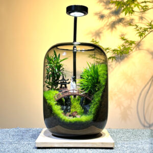 Li Bai Moss Micro Landscape Creative Real Plants Green Plants Landscape Ecological Bottle Office Desktop Gift Ecological Tank
