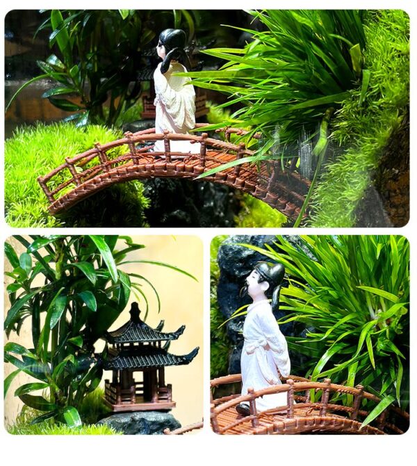 Li Bai Moss Micro Landscape Creative Real Plants Green Plants Landscape Ecological Bottle Office Desktop Gift Ecological Tank - Image 4