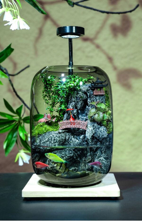 Flowing Fish Tank Moss Micro Landscape Ecological Bottle Real Plants Office Desktop Indoor Landscape Bonsai Green Plants