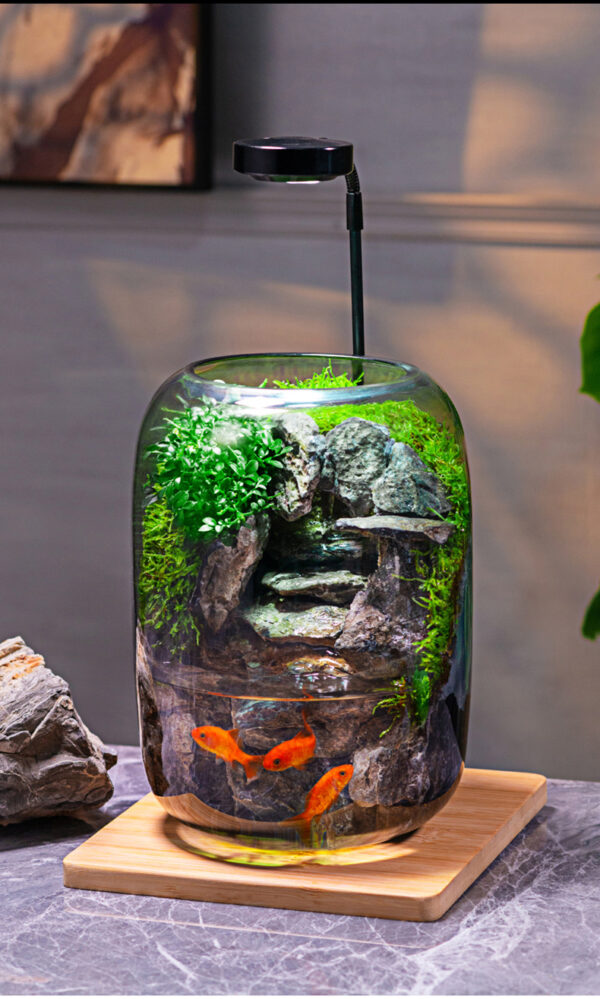 Shishang Qingquan E-style Moss Micro Landscape Office Desktop Micro Landscape High end Ecological Tank Decoration Green Plant Bonsai - Image 4