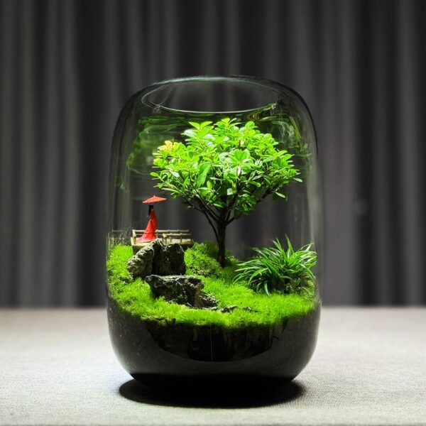 【 Tree of Life 】 Moss Micro Landscape Ecological Bottle Desktop Ecological Bottle Landscape Creative Green Plant Office Desktop - Image 3