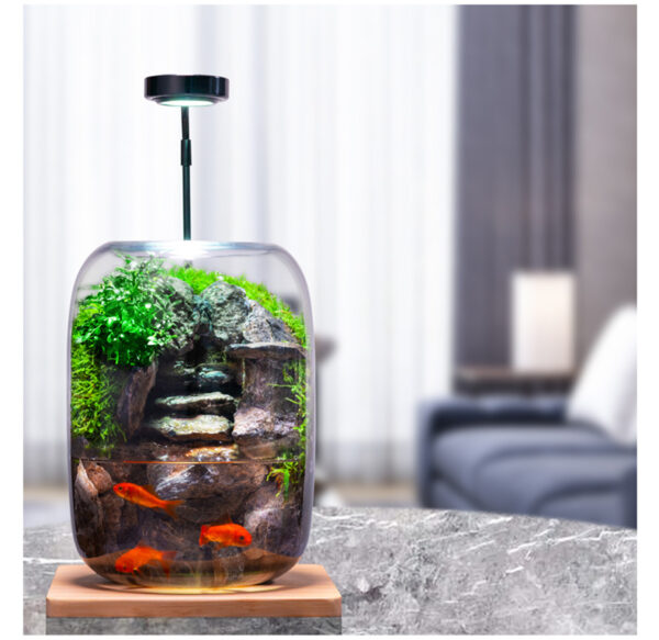 Shishang Qingquan E-style Moss Micro Landscape Office Desktop Micro Landscape High end Ecological Tank Decoration Green Plant Bonsai - Image 2
