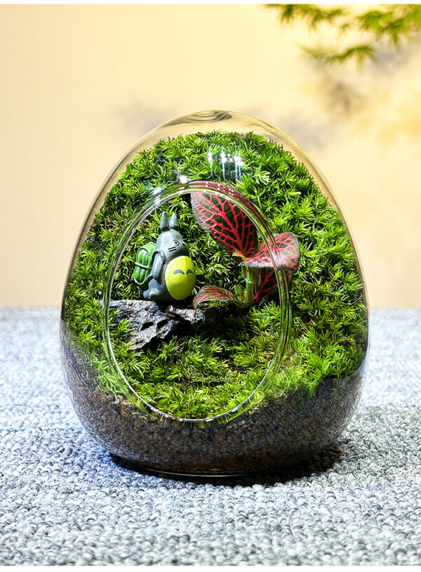 Moss Micro Landscape DIY Material Landscape Plants Fresh Ecological Bottles Ecological Jars Desktop Small Pottery Products Easy to Maintain - Image 6