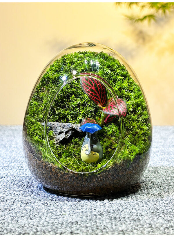Moss Micro Landscape DIY Material Landscape Plants Fresh Ecological Bottles Ecological Jars Desktop Small Pottery Products Easy to Maintain - Image 5