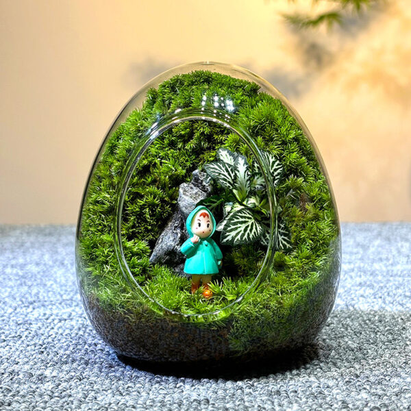 Moss Micro Landscape DIY Material Landscape Plants Fresh Ecological Bottles Ecological Jars Desktop Small Pottery Products Easy to Maintain - Image 4