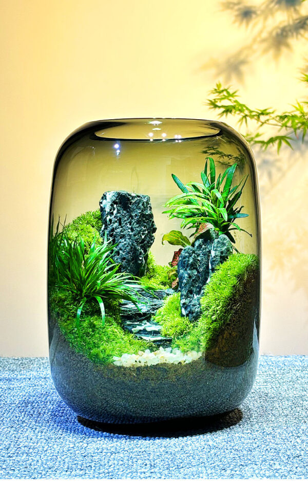 The Road to Success Ecological Bottle Moss Creative Micro Landscape Desktop Potted Plants Office Green Plants Moss Landscape Tank - Image 2