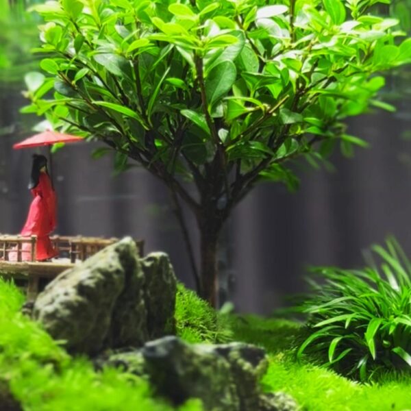 【 Tree of Life 】 Moss Micro Landscape Ecological Bottle Desktop Ecological Bottle Landscape Creative Green Plant Office Desktop - Image 7
