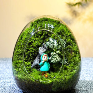 Moss Micro Landscape DIY Material Landscape Plants Fresh Ecological Bottles Ecological Jars Desktop Small Pottery Products Easy to Maintain